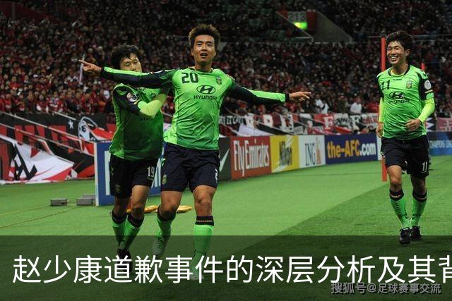 赵少康道歉事件的深层分析及其背后的政治动态